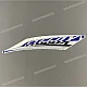Yamaha XT660X Adesivo convogliatore radiatore sinistro Lato sinistro OEM 10S2137C0000