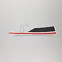 Left side mid-cowling R1 graphic