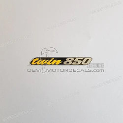 Side cowling decal