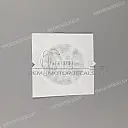 Front cowling emblem