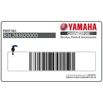 Rechter zijkuip R1 graphic, rechterzijde