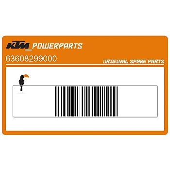 Adesivi posteriore coda carena, set