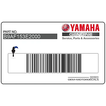 Emblema posteriore coda carena