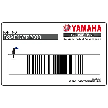 Side cowling decal, right side