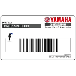 Emblema posteriore coda carena