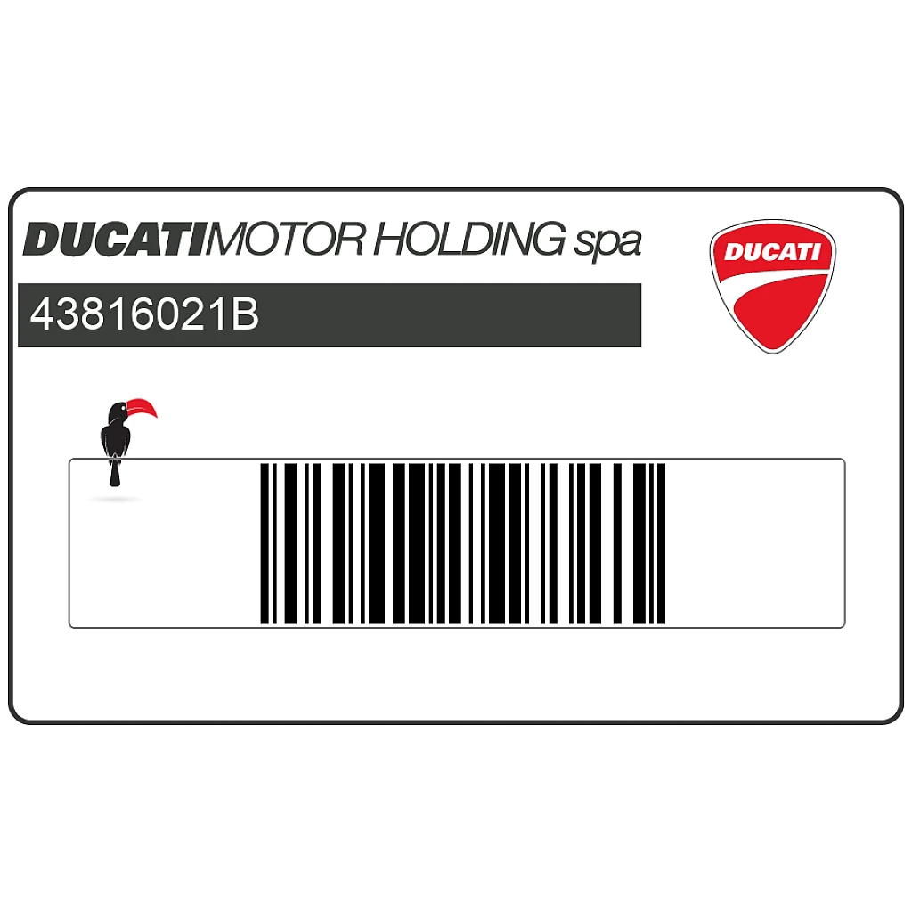Ducati-43816021B