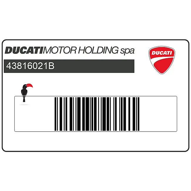Ducati-43816021B