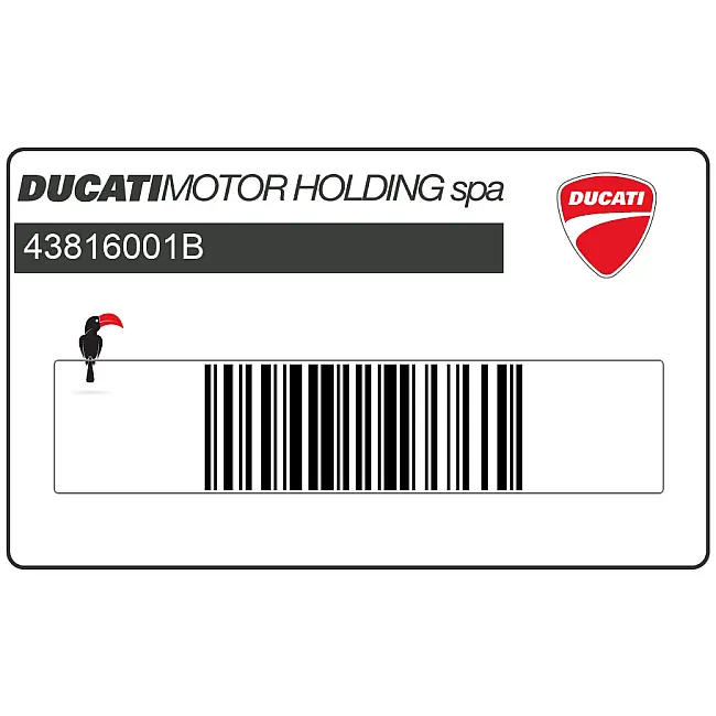 Ducati-43816001B