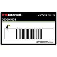 KAWASAKI Tank decal , left side 56060-1858