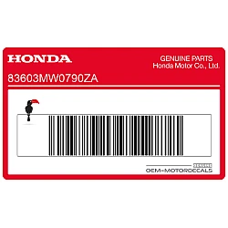 Honda CBR900RR right front cowl stripe