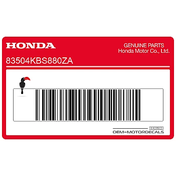 Adesivo posteriore coda carena