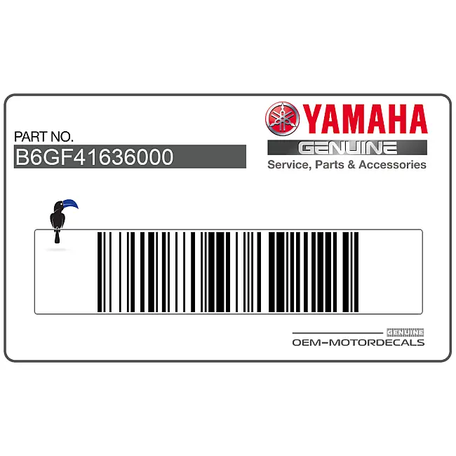 Yamaha-B6GF41636000