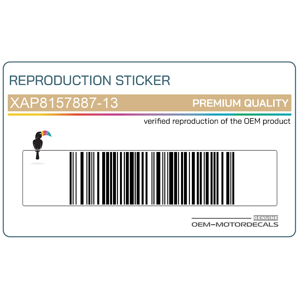 Aprilia-AP8157887-13 Aprilia-AP8157887-13