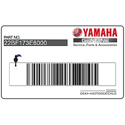 Tail cowl decal, left side