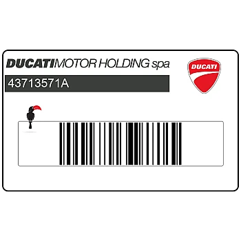 Front fender decal, left side