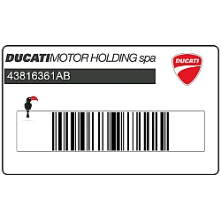 Front fender decal