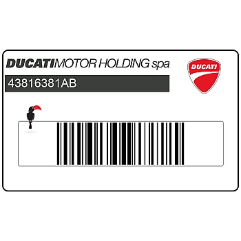 Front fender decal, left side