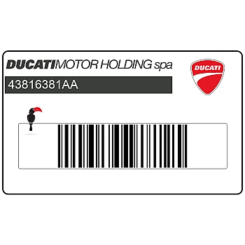 Front fender decal, left side