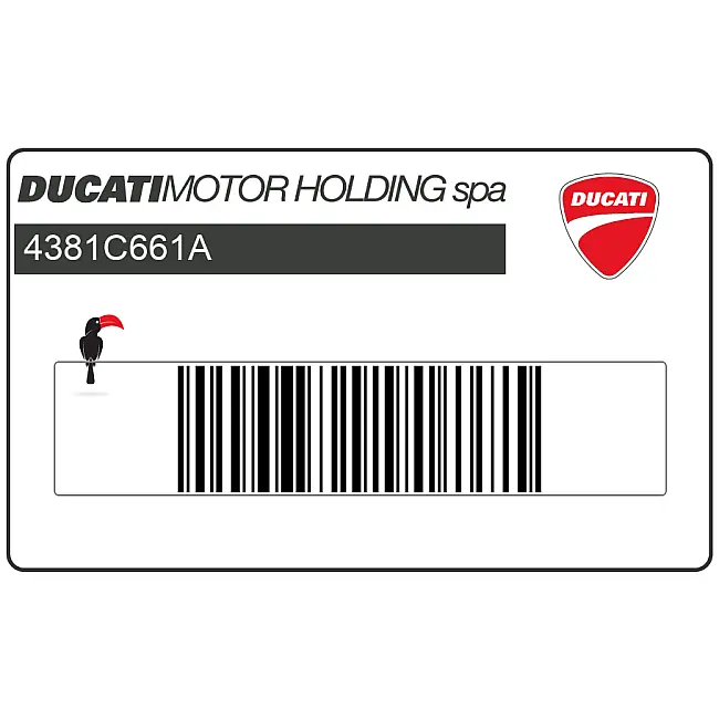 Ducati-4381C661A