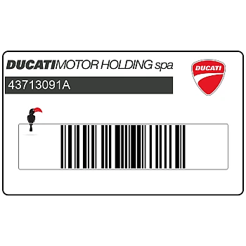 Front fender decal, right side