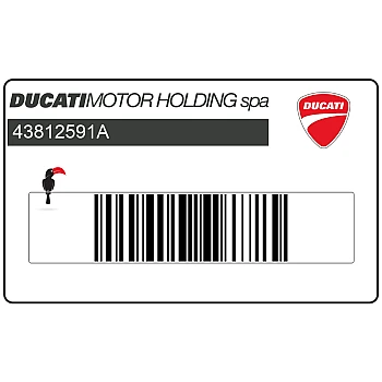 Front cowling decal, left side