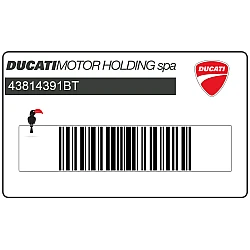 Pegatina colin, lado derecho