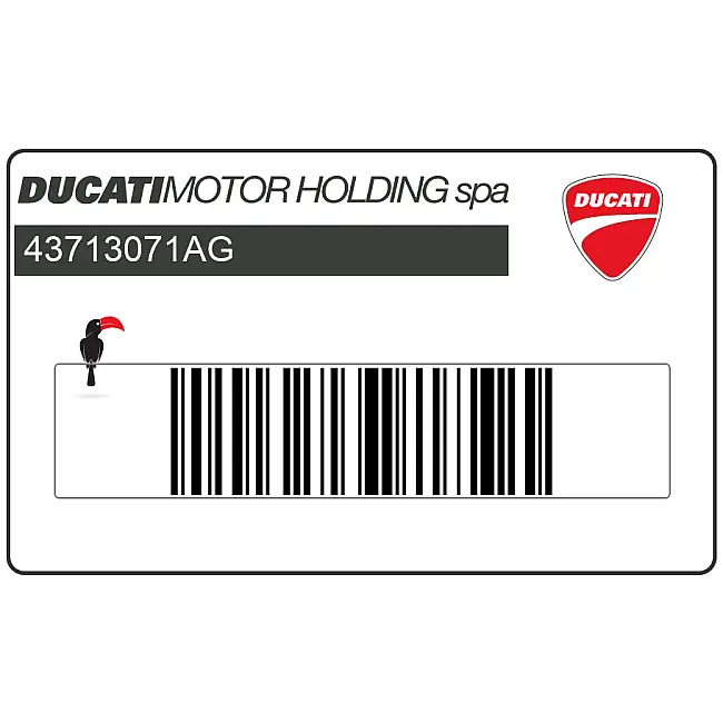 Ducati-43713071AG