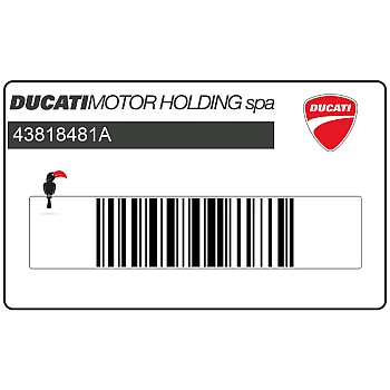 Front cowling decal, left side