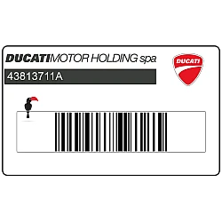 Adesivo parafango anteriore