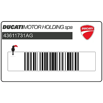 Adesivo posteriore coda carena