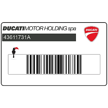 Adesivo posteriore coda carena