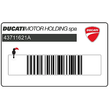 Adesivo parafango anteriore