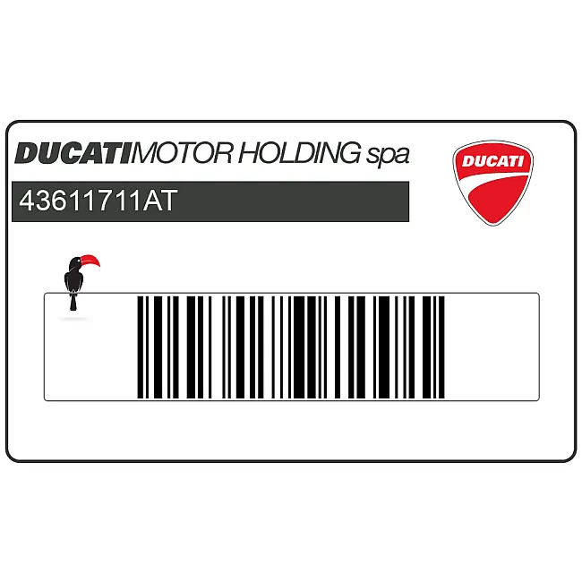 Ducati-43611711AT