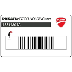 Tail cowl decal, right side