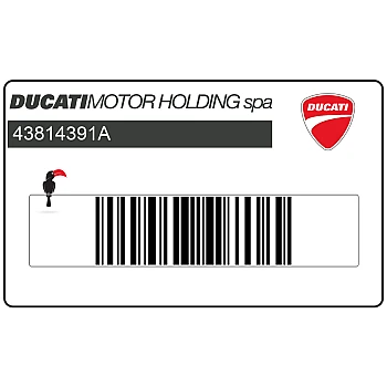 Tail cowl decal, right side