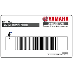 Side Fairing Graphic Decal, Right