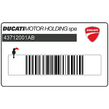 Emblema Multistrada 1100S sul cupolino anteriore