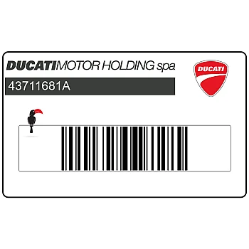 Pegatina Multistrada 1100S en el colín trasero