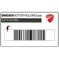 Tail cowl Multistrada emblem