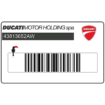 Emblema Ducati del cupolino anteriore