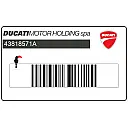 Front fender sticker, left side
