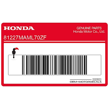 Pegatina colin, lado derecho