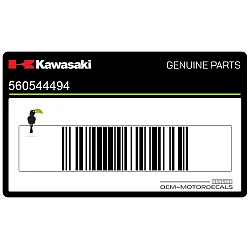 Fuel tank Kawasaki emblem