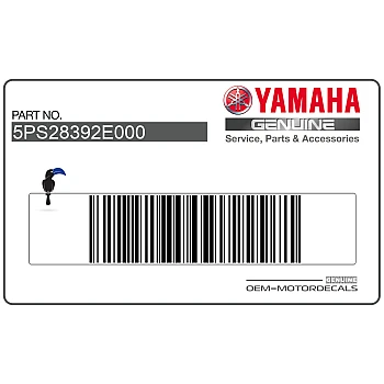 Side cowl graphic, right side