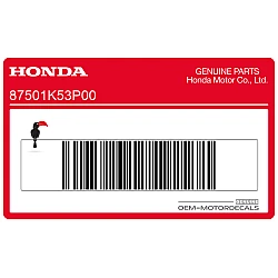 Registered number plate label