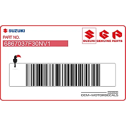 Gráfico para cubierta de radiador RM125, lado izquierdo