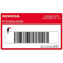 Swingarm TYRE INFORMATION & DRIVE CHAIN LABEL