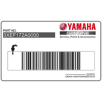 Pegatina lateral derecha del carenado TDR 125 Yamaha
