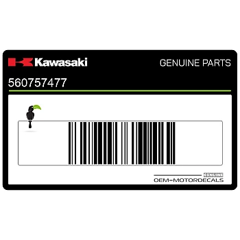 Flanc de carénage Ninja ZX-6R, côté droit