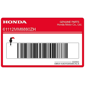 Front fender stripe